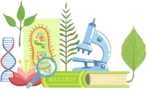 how does works Thyrafemme